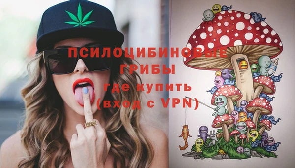 спиды Приозерск
